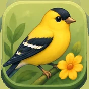 Goldfinch