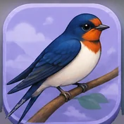 Swallow