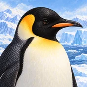 Emperor Penguin