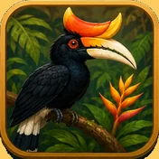 Hornbill