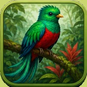 Quetzal