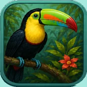 Toucan