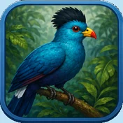 Turaco