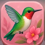 Hummingbird