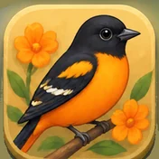Oriole