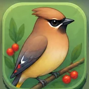 Waxwing