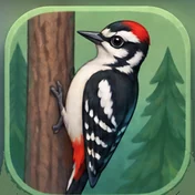 Woodpecker